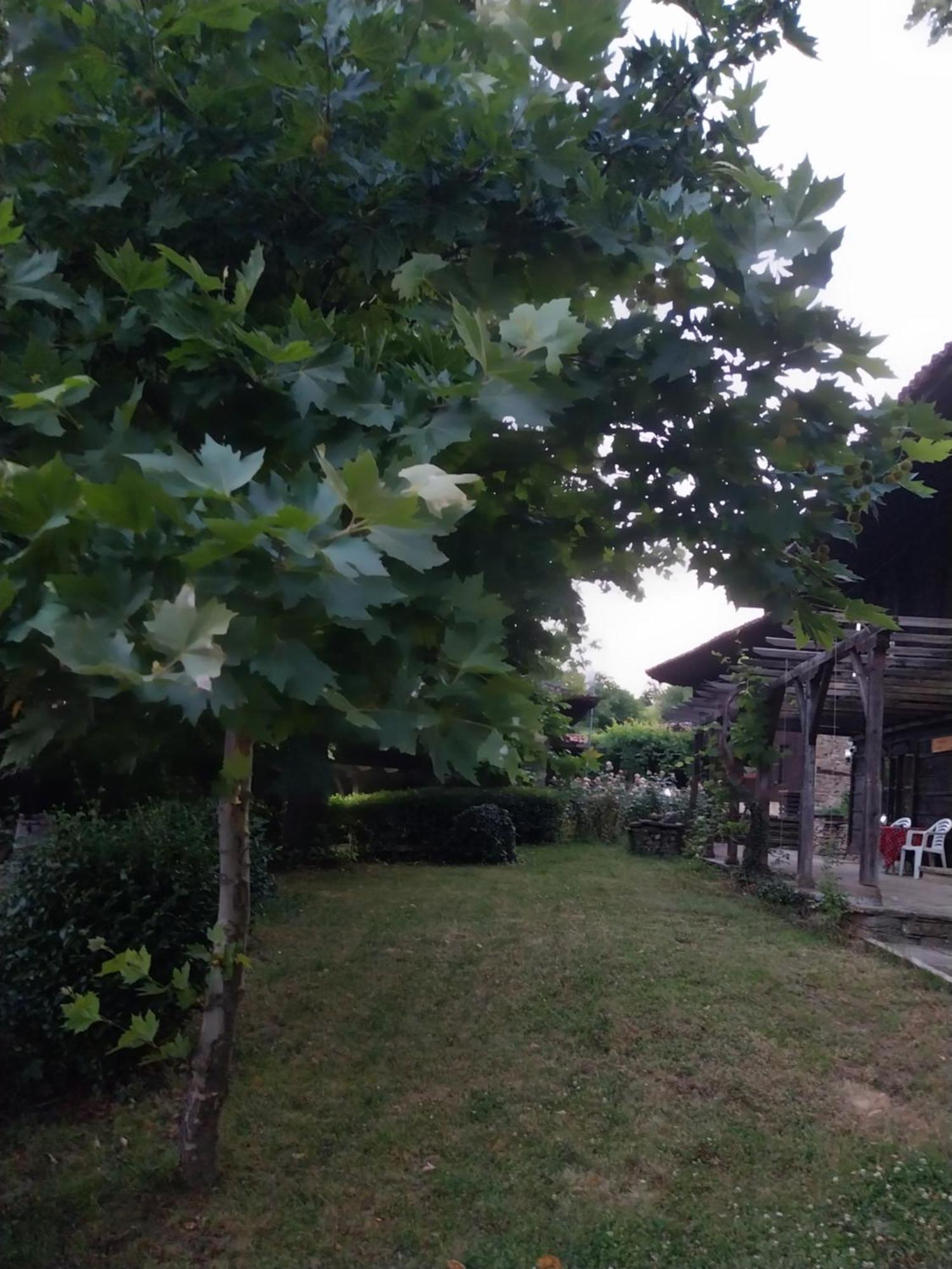 Guest Houses "Zlatna Oresha - Complex" Zheravna Exterior photo